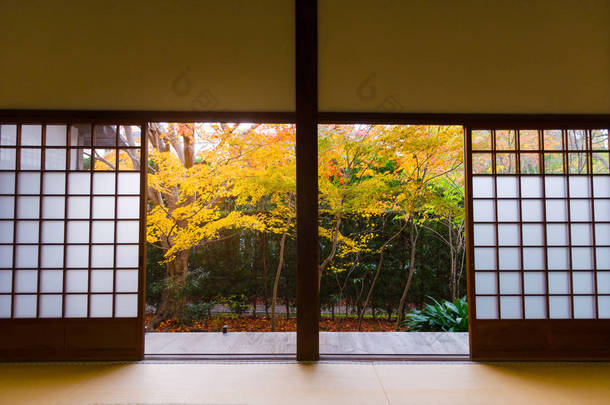 传统的日本纸<strong>滑</strong>动<strong>门</strong>和榻榻米垫<strong>打开</strong>美丽多彩的秋天叶子枫树在花园, 冬季从京都, 日本