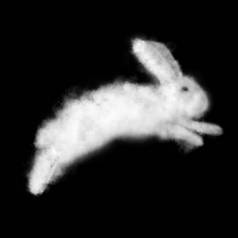 黑色背景下的白兔形状的云彩, 复活节概念
