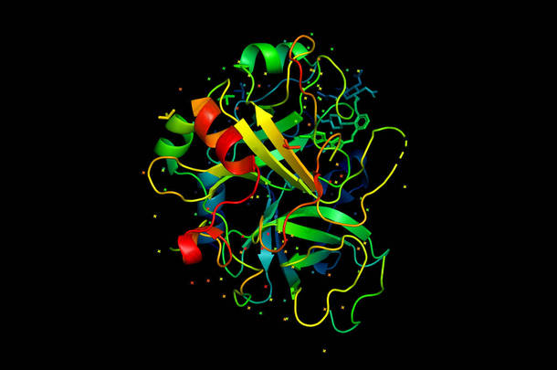 蛋白质分子的3d <strong>模型</strong>.