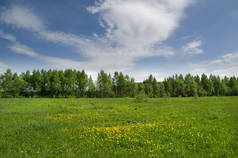 蓝天下的绿色田野和森林白云