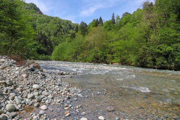 春天的河流和河流 rize 社团 ikizdere
