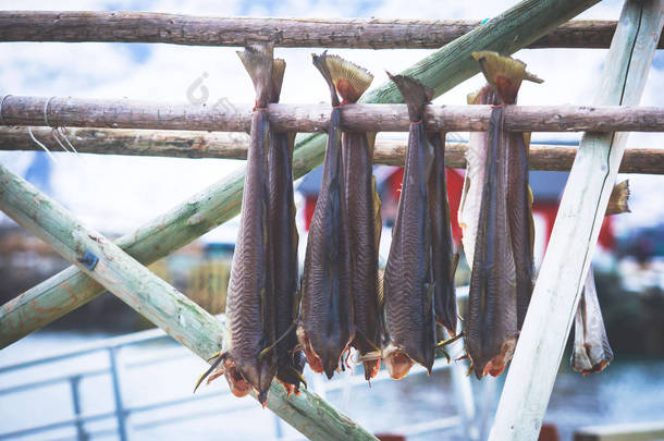 挪威罗浮敦群岛冬季鳕鱼干燥过程-- --挪威传统的在冬季冷空气中在木制<strong>烘干</strong>架上<strong>烘干</strong>鱼类的方法