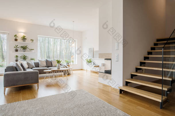 灰色角落沙发在明亮的公寓内部与植物在架子和木台阶
