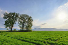 田园风光的日落景色, 绿树成荫。斯洛伐克乡村风光
