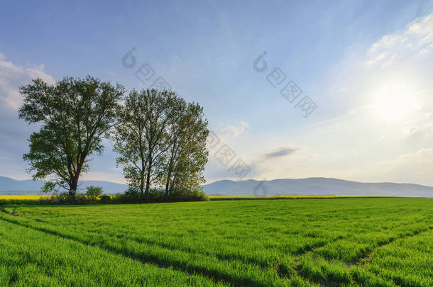 田园风光的日落景色, 绿树成荫。斯洛伐克乡村风光