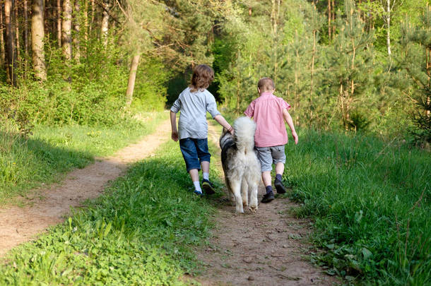 男孩们带着狗阿拉斯加在森林里散步。<strong>最好的</strong>朋友。<strong>友谊</strong>.