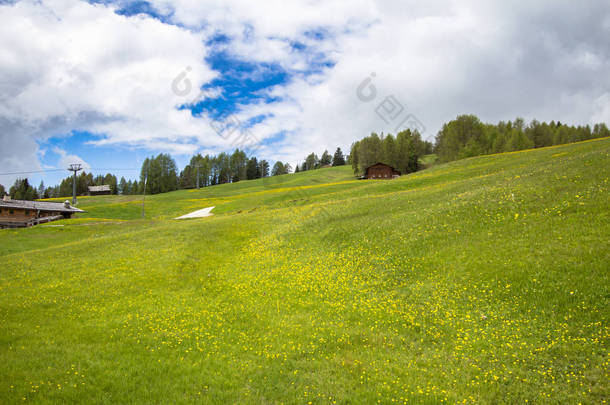 蒲公英和高山村庄的背景