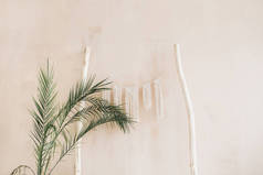 最小的家庭室内设计。热带棕榈树枝和波西米亚装饰在粉彩米色墙壁。现代演播室概念.