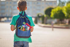 带满背包的小学生去上学。后退视图.