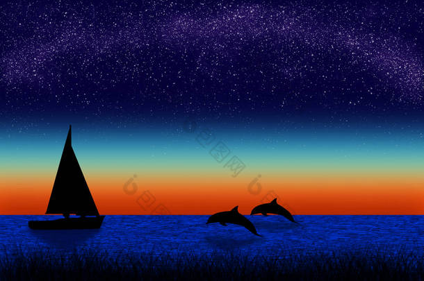 夜晚的进攻之星。美丽的风景与海豚