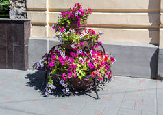 阳光明媚的城市街道上有装饰花的大花盆