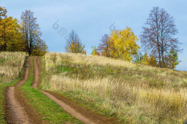 秋天的风景。适度阔叶混交林。大自然给人一个绝佳的机会在冬季暴风雪来临前放松, 在周围世界的美景中欢欣鼓舞。.