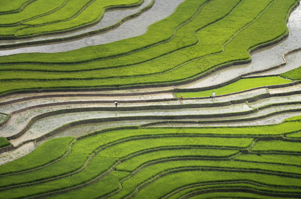 <strong>梯田</strong>的形象和油画一样美丽。木仓种植稻前的浇水季节<strong>梯田</strong>曲线研究