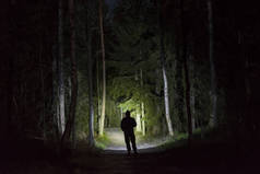 晚上, 一个人站在户外, 在树巷里闪耀着手电筒。美丽的深雪冬夜.