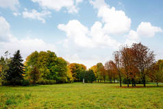 与秋天的树木公园阳光景观