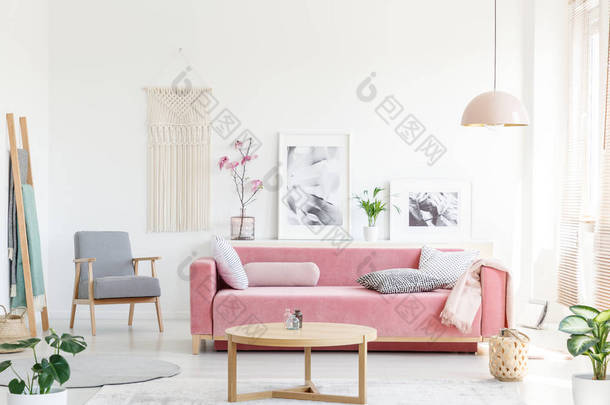 真正的照片, 一个粉红色的沙发与枕头站在桌子后面, 扶手椅旁边, 在一个架子上张贴<strong>海报</strong>和<strong>鲜花</strong>, 并在明亮舒适的客厅内的灯下