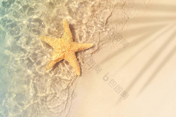 海星在夏天的海滩上海水。夏天的背景。夏季时间.