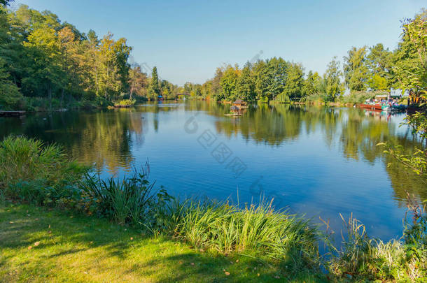 绿色池塘银行与草在水中生长与美丽的周围的自然景色和晴朗的蓝天没有云彩.