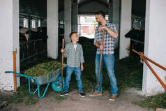 父亲和儿子拿着干草叉和微笑, 而在一起工作在摊位