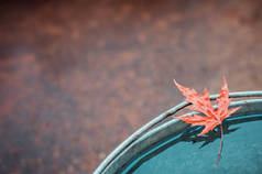 美丽的红枫叶在锡桶的边缘与水在秋天的背景。文本的空间, 顶部视图。秋天的平静和忧郁.
