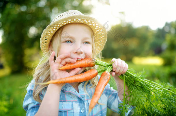 可爱的小女孩戴草帽拿着一堆新鲜的有机胡萝卜。为小孩子提供新鲜健康的有机食品。夏季家庭营养.