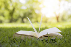 有关绿草、知识及教育概念的书籍