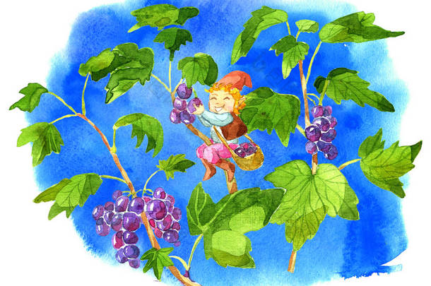 有趣的小矮人在蓝色背景上收集醋栗浆果。水彩卡通涂鸦插图, 植物学和幻想图纸打印, 贺卡, 海报, 邀请