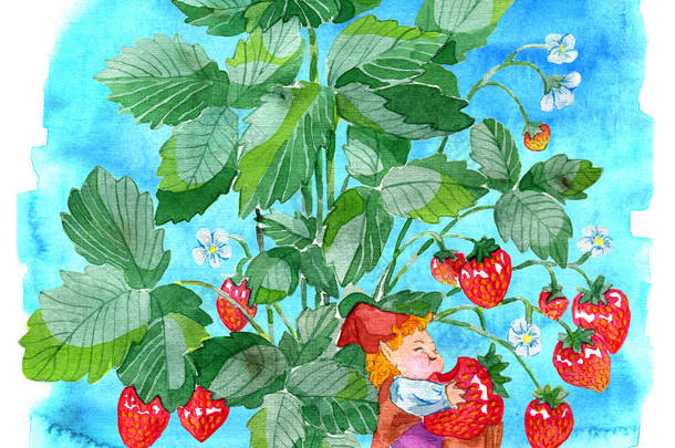 有趣的小侏儒在蓝色的背景下吃草莓。水彩<strong>卡通</strong>涂鸦插图, 植物学和幻想图纸打印, <strong>贺卡</strong>, 海报, 邀请