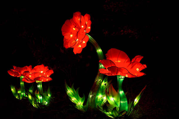 在俄亥俄州克利夫兰的一个亚洲<strong>元宵节</strong>, 明亮的红色和绿色的牡丹灯笼在夜晚发光。.