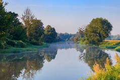 一条小河的背景上绿树成荫, 岸边一片蓝天。阳光明媚的夏日清晨的河流景观