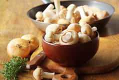 生的吉普赛蘑菇或 Cortinarius caperatus 蘑菇出门烹调。用野蘑菇、香草、洋葱组成 .