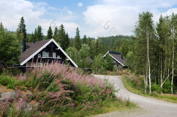 挪威 Trysil-2018年7月26日: 挪威 Trysil 最大滑雪胜地森林附近的黑色起居室