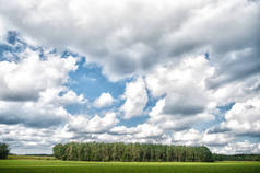在阴天, 森林和绿色田野自然景观。树林上空有许多白云的天空。自然和自由概念。多云天气预报。天气变化迹象。多云的天空和自然