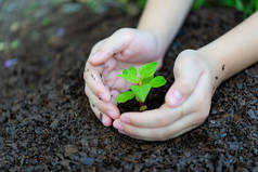 把两只手紧紧抱住黑土。地球日和手团队工作保护树木生长, 以减少全球变暖地球。生态 concep