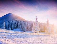 多彩的日落在山范围在国家公园喀尔巴阡山。惊人地照亮了冬天的山脉。乌克兰、欧洲.