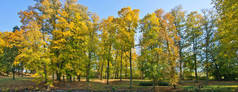 秋天的风景。公园在克拉斯尼酒店。捷克共和国.