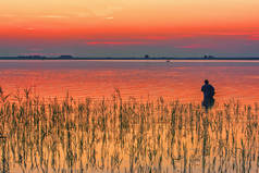 黄昏的湖泊, 芦苇剪影和钓鱼竿渔夫.