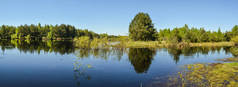 俄罗斯中部春季全景水景观。河的全景在5月在国家公园 