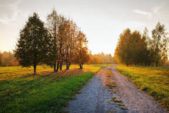 秋天的风景与道路。通过秋季公园的路径.