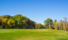 绿色自然景观与一个大草坪。秋季公园.