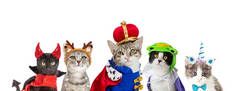 猫在国王万圣节服装