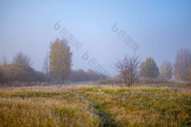 <strong>取悦</strong>感官或心灵审美寂寞秋树藏在薄雾中的秋天彩色草甸