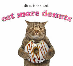 这只猫拿着一个被巧克力咬的甜甜圈。生命太短了。多吃甜甜圈。白色背景.