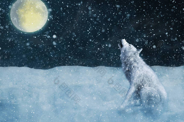 3D渲染一只威严的白狼坐下来，在魔法雪地包围的月亮上嚎叫.