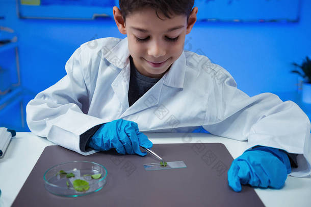 在实验室使用实验室设备的小学生, 教育理念