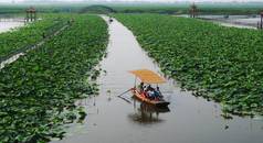 2009年7月12日，中国北方河北省保定市，中国北方最大的淡水湿地白洋淀，在安新县，新经济特区熊安新区的一部分，游客旅行