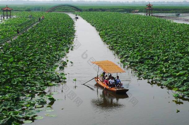 2009年7月12日，中国北方河北省保定市，中国北方最大的淡水湿地白洋淀，在安新县，新经济特区熊安新区的一部分，游客旅行