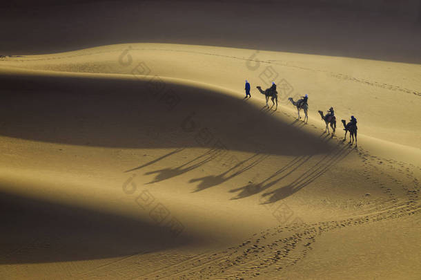 沙沙漠中的骆驼大篷车查看上面的部分。骆驼在合成中心的长阴影