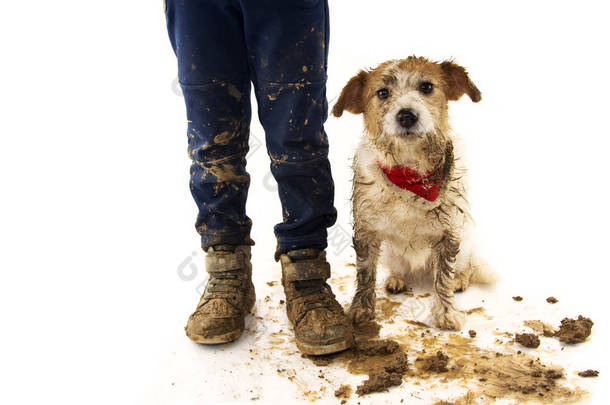 有趣的肮脏的狗和孩子。杰克罗素狗和男孩穿靴子后, 玩在一个泥巴泥巴与羞愧的表达。在白色背景下拍摄的孤立工作室.
