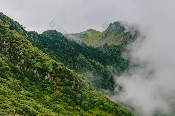 云南大理康山山顶上的云雾覆盖的山脊景观